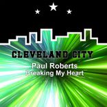 Artwork voor "Breaking My Heart"