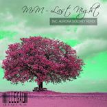 Artwork voor "Last Night"