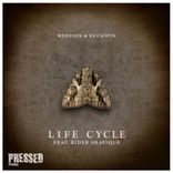 Artwork for "Life Cycle"