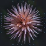 Artwork für "Other Worlds"