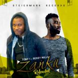 Portada para "Zanku (Reloaded)"
