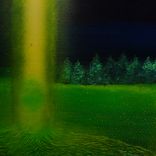 Artwork voor "V Poli Gul"