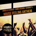 Artwork for "House Feeling Anthem"