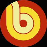 Artwork für "The Bass Boss"