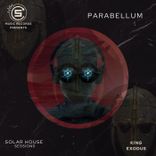 Artwork for "Parabellum"
