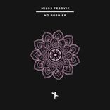Artwork für "No Roush EP"