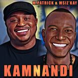 Artwork for "Kamnandi"