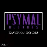 Artwork voor "Echoes"