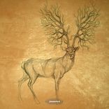 Artwork for "Particular Pitches"