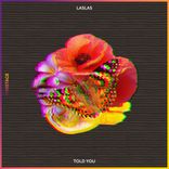 Artwork für "Told You"