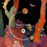 Portada para "Mandela Effect"