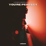 Artwork for "You're Perfect"