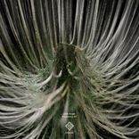 Artwork for "Pestilence"