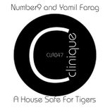 Artwork for "A House Safe for Tigers"