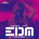 Artwork for "Best of EDM Party 2019"