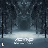 Mysterious Forest