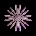 Artwork for "Work Your Body"