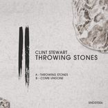 Artwork for "Throwing Stones"