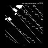Artwork for "Unidentified Noise"