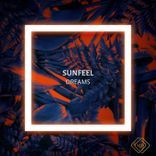 Artwork voor "Dreams"