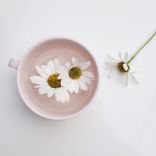 Portada para "White Noise for Studying"