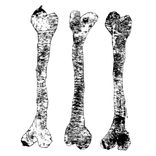 Artwork for "The Nature of Entanglement"