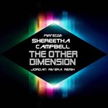 Portada para "The Other Dimension"