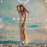 Artwork for "Habibi"