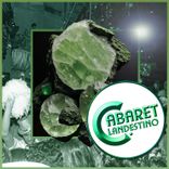 Artwork for "Prehinita"