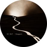 Artwork voor "Reagent"