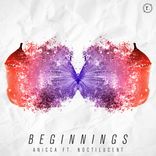 Beginnings