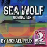 Artwork for "Sea Wolf"