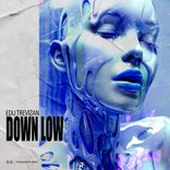 Artwork for "Down Low"