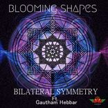 Artwork for "Bilateral Symmetry"