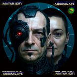 Artwork for "Assimilate"