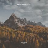 Artwork voor "Best of 3rd Avenue | Fall 2023"