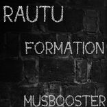 Artwork for "Formation"