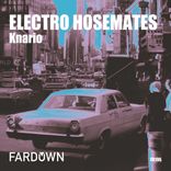 Artwork for "Electro Hosemates"