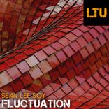 Artwork for "Fluctuation"