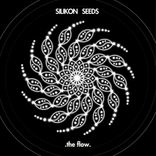 Artwork voor "The Flow"