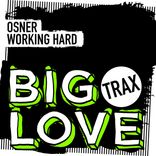 Artwork für "Working Hard"