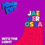 Artwork voor "Into the Light"