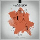 Artwork for "Spaciousness"