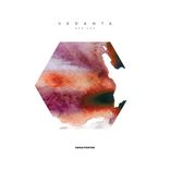 Portada para "Vedanta Remixed"