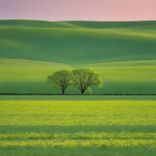 Artwork for "Indigo Spring"