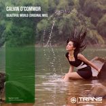 Artwork for "Beautiful World"