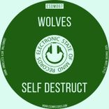 Artwork for "Self Destruct"