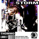 Portada para "STORM"