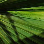 Artwork voor "Thigh"