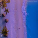 Captivated With Purpose